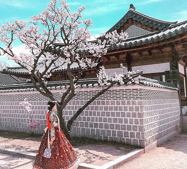 hanbok cùng hoa tại cố cung du lich han quoc mua hoa anh dao