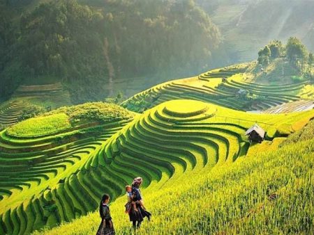 Tour du lịch Sapa 3 ngày 2 đêm trọn gói 2024